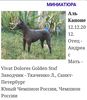 Profile picture of the animal